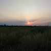 IMG_20200627_055308.jpg