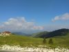 IMG_20200627_095331.jpg