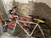 360F385E-3C67-4785-9CE9-C2C7D6B82C84_1_105_c.jpeg