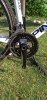 Pinarello Carbonio