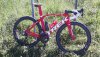 madone.jpg madone.jpg
