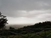 20200707_060039.jpg