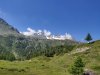 IMG_20200708_121622.jpg