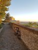 20200709_055513.jpg