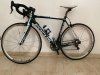 Focus izalco mondial 2014