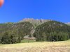 IMG_20200712_103926.jpg