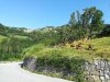 IMG_20200716_094616.jpg