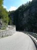 IMG_20200716_110944.jpg