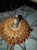 20200717_232425.jpg