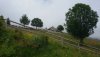 20200719_141457.jpg