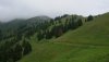 20200719_133636.jpg