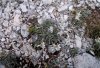 100_2638.jpg