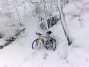 31012010243.jpg