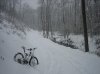 IMG_1176.jpg