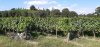 20200718_173334.jpg