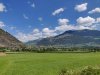 IMG_20200723_121410.jpg