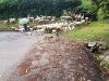 20200721_184641.jpg