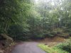 20200721_184815.jpg