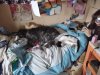 IMG-20191127-WA0000.jpg