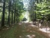 20200509_110427.jpg 20200509_110427.jpg