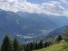 IMG_20200726_150401.jpg