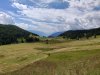 IMG_20200726_150636.jpg