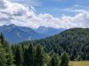 IMG_20200726_150646.jpg