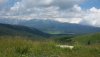 20200726_142939.jpg