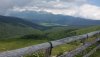 20200726_141625.jpg