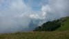 20200726_140343.jpg