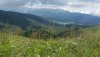 20200726_141221.jpg