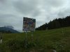 IMG_20200726_104438.jpg