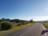 20200725_072828.jpg