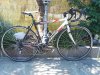 Bici da corsa alluminio misura M (53)