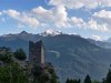 IMG_20200729_180950.jpg