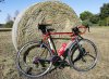 colnago.jpg