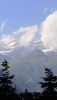 1596273213637.png 1596273213637.png
