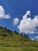 IMG_20200801_141517.jpg