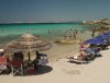 IMG_20200803_125149-01.jpeg