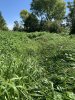 E0DFC4FD-6004-4347-BD39-A92B9DD8478F.jpeg