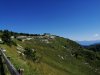 IMG_20200806_103722.jpg