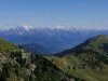 IMG_20200806_105309.jpg