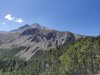 IMG_20200808_121415.jpg