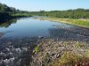 20200807_180216.jpg 20200807_180216.jpg