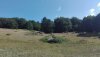 IMG_20200809_101004.jpg