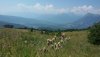 20200809_143003.jpg