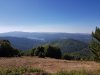 20200722_091501.jpg