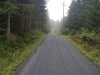 IMG_20200815_183047_475.jpg