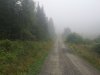 IMG_20200815_183052_050.jpg