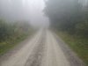 IMG_20200815_183057_528.jpg